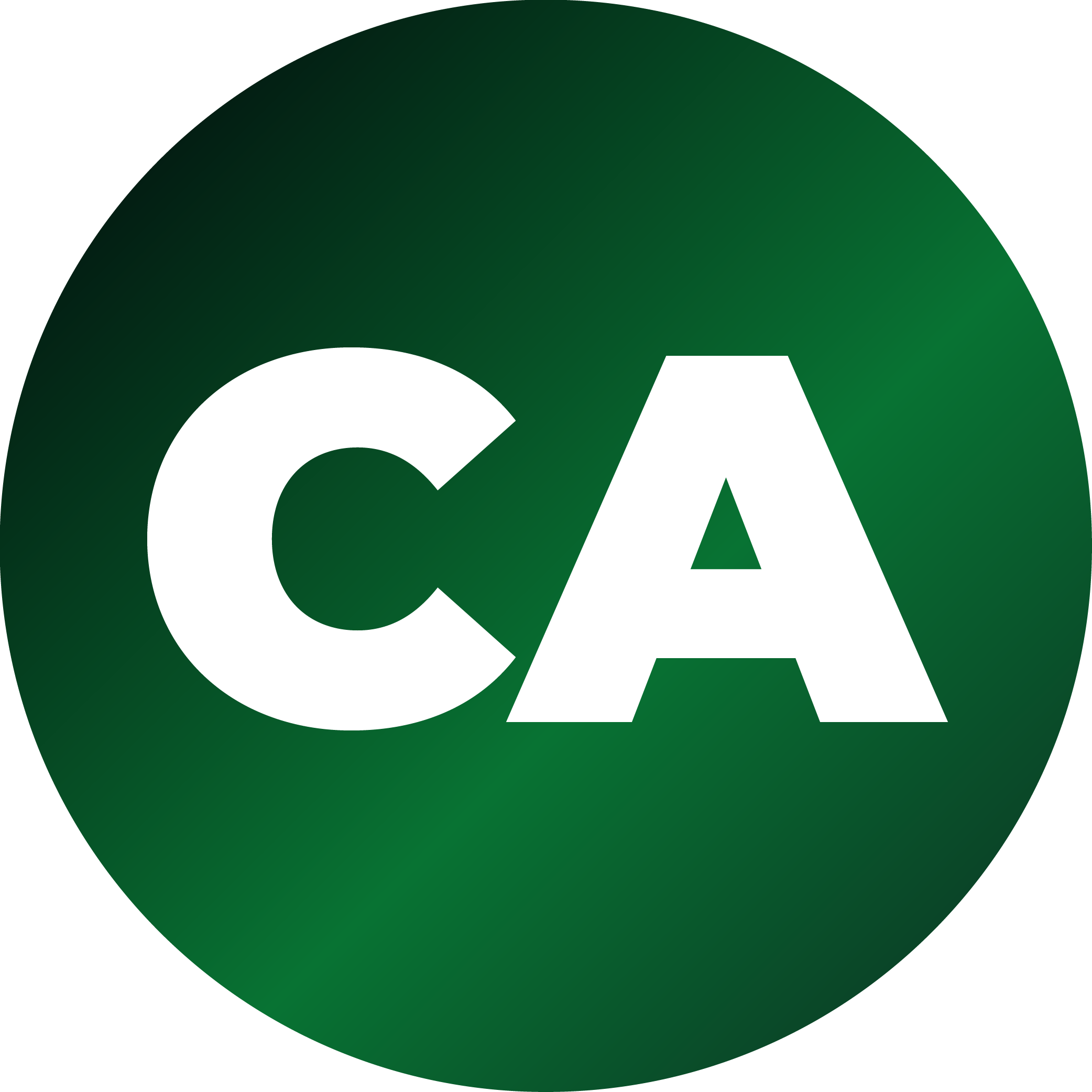 CA course