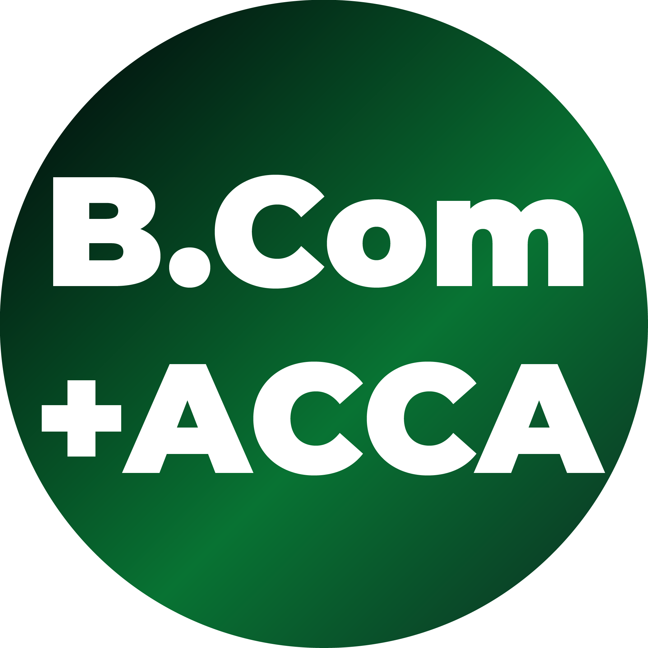 CA course