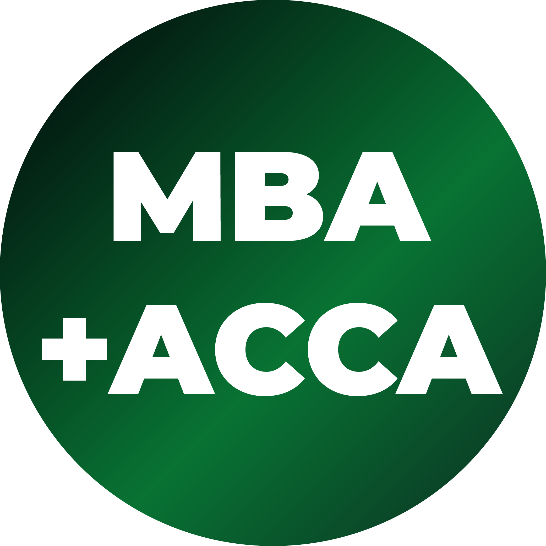 CA course