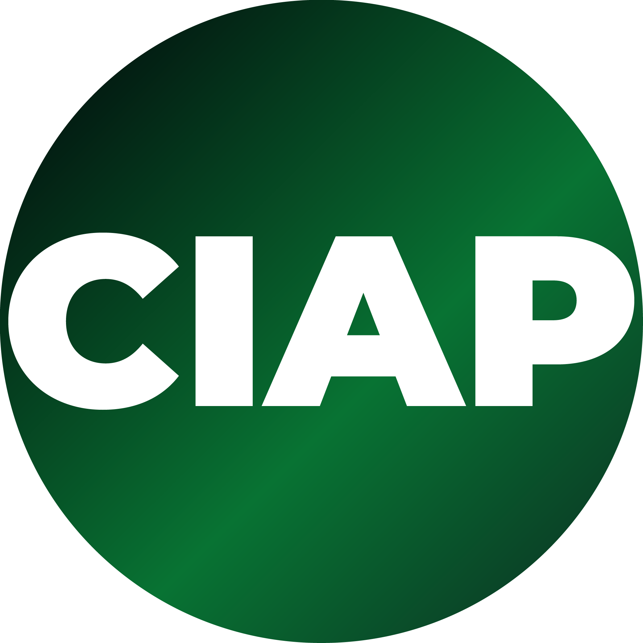CA course